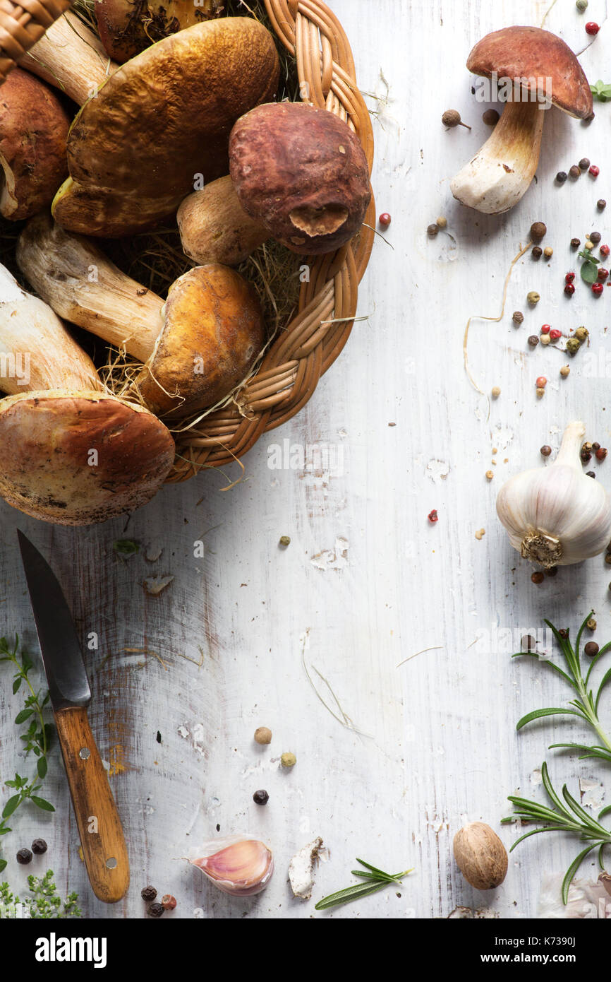 Organische Porcini-pilzen; würzen Waldpilz und italienischen Gewürzen Kraut Stockfoto