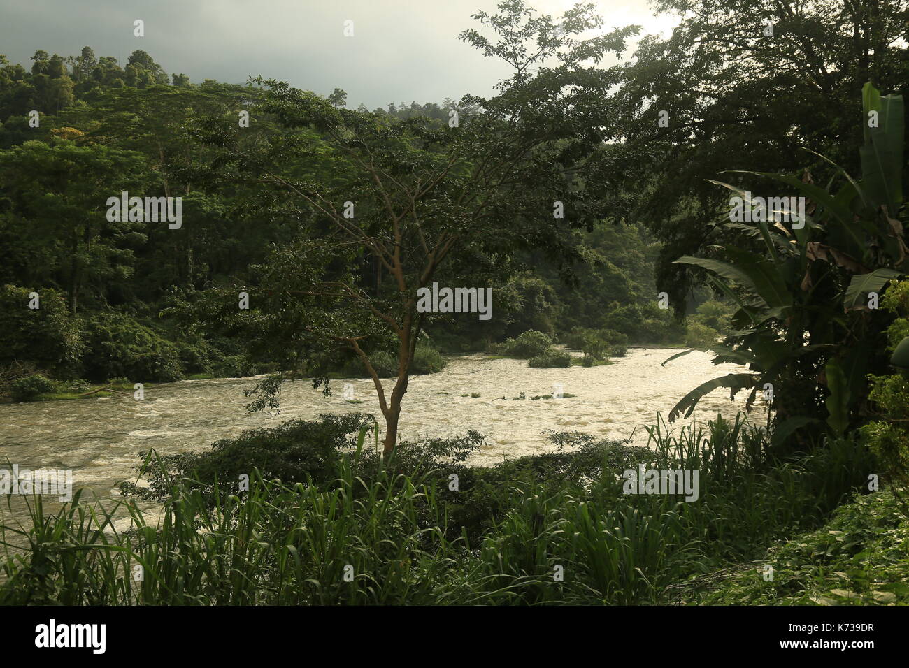 Kitulgala Fluß, Brücke am Kwai, Sri Lanka, Fluss, Dschungel, Südostasien, Sri Lankan Dschungel, Stromschnellen, tropischen Fluss, Exotische Stockfoto