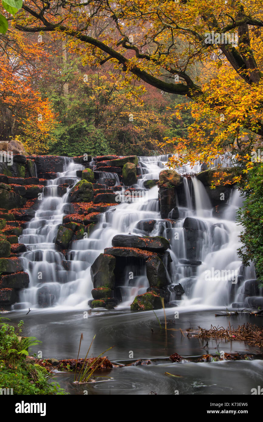 Die Kaskaden Wasserfall im Herbst. Virginia Wasser, Surrey. UK. Eine lange Exposition gibt dem milchig weißen Bewegungsunschärfe von Wasser über die Felsen stürzen Stockfoto