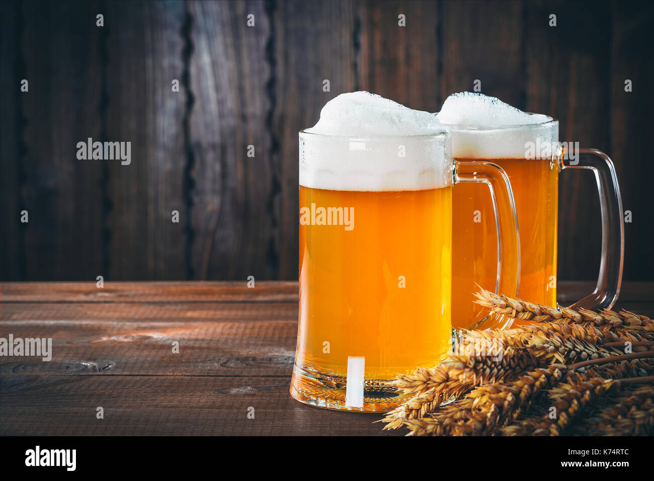 Zwei Gläser helles Bier mit ährchen von Gerste auf dem hölzernen Hintergrund. Schönen Hintergrund des Oktoberfestes Stockfoto