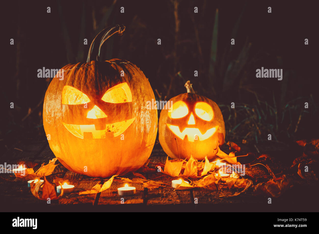 Halloween-Kürbisse Kopf Jack Laterne mit Kerzen rund um auf die alten Bretter in eine gruselige Nachtlandschaft. Soft-Fokus. flachen DOF Stockfoto
