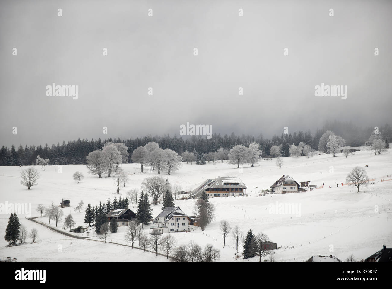 Schwarzwaldhäuser im Winter, Hofsgrund, Schauinsland, Schwarzwald, Baden-Württemberg, Deutschland Stockfoto