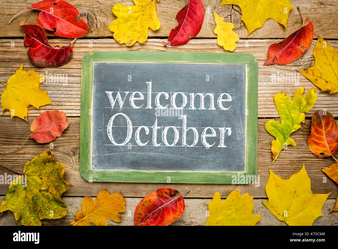 Oktober Willkommen auf einer Schiefertafel Schultafel gegen rustikalen verwittertes Holz Bretter mit bunten getrocknete Blätter Stockfoto