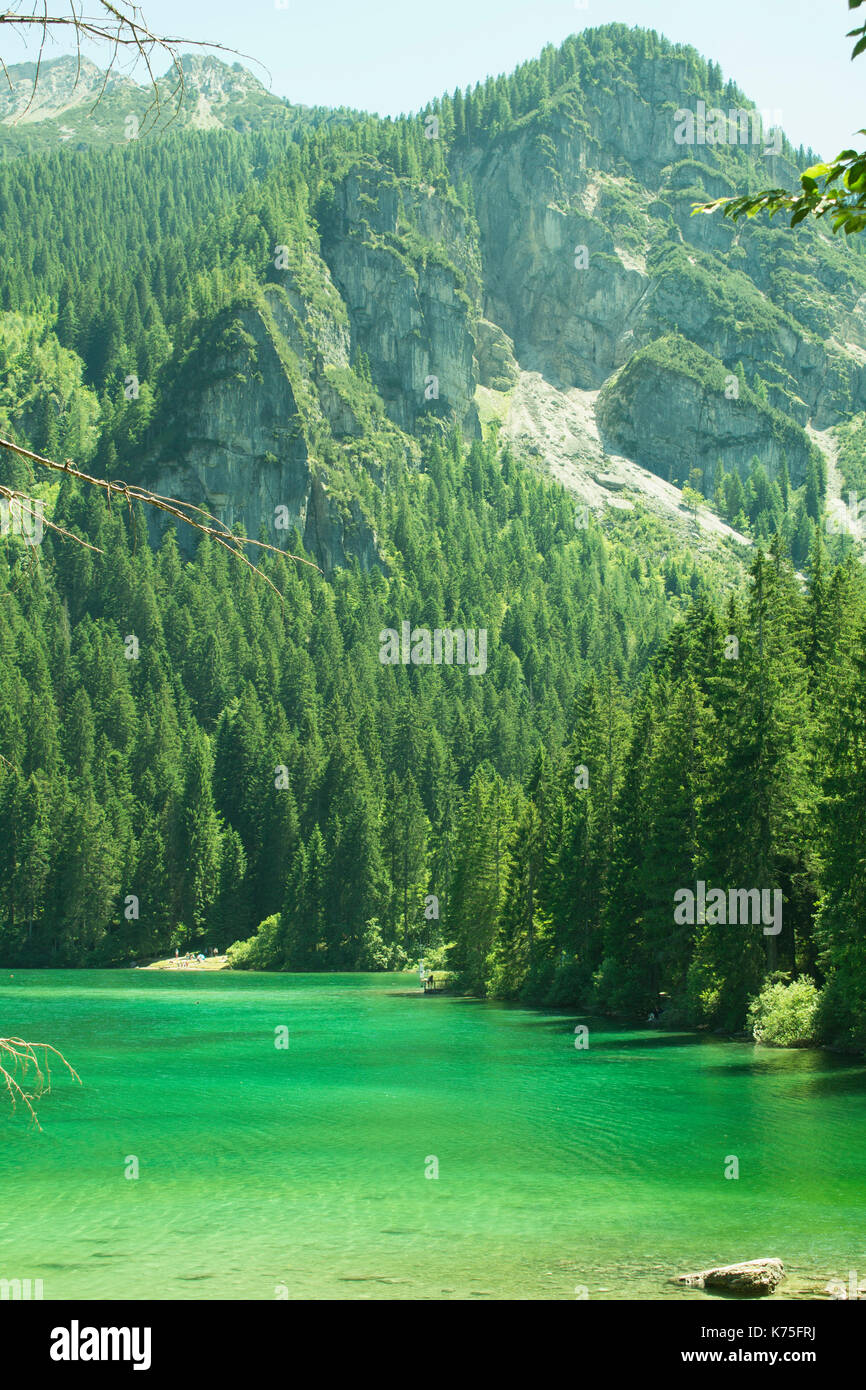 Italien, Trentino Alto Adige, Reflexion in der Tovel See. Stockfoto