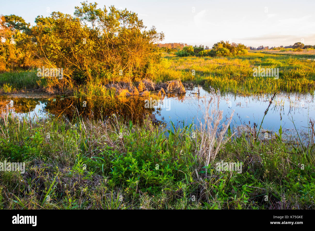 Everglades Nationalpark Sonnenuntergang See Reflexionen Stockfoto