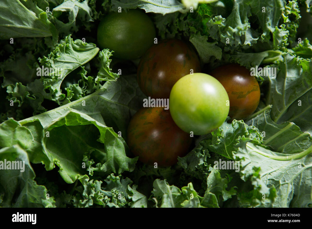 In der Nähe von frischem Senfgrüns und Stachelbeere Stockfoto