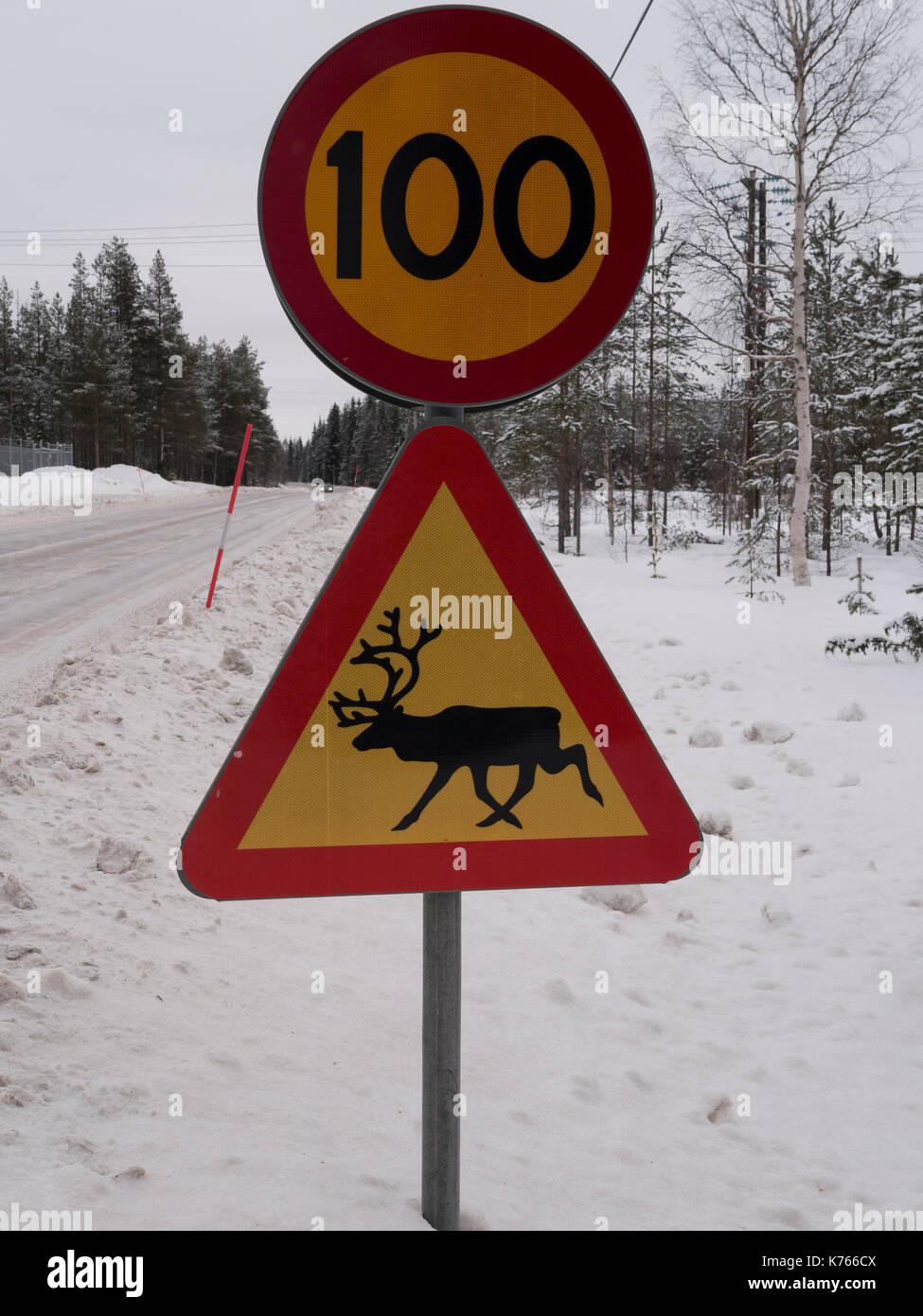 Schwedische Straßenschilder mit Reh und Geschwindigkeitsbegrenzung von 100 km/h. Stockfoto