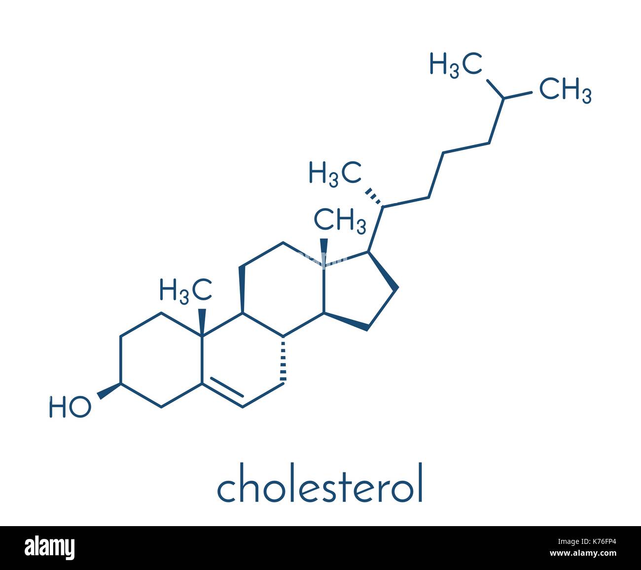 Cholesterin Molekül. Wesentlicher Bestandteil von Zellmembranen und Vorläufer von Steroidhormonen, Gallensäuren und Vitamin D. Skelett Formel. Stock Vektor