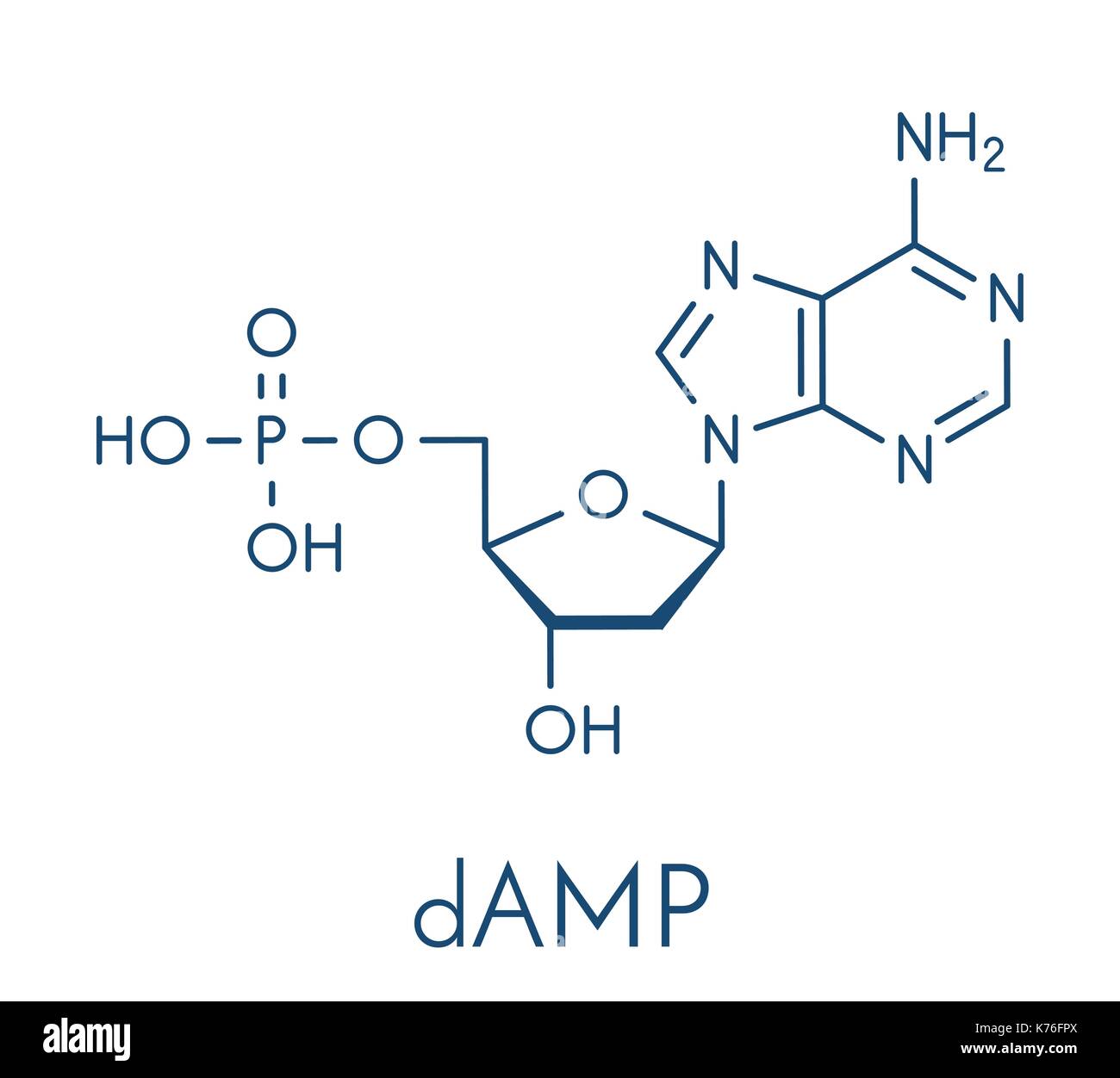 Desoxyadenosintriphosphat Monophosphat (feuchten) Nucleotide Molekül. DNA-Baustein. Skelettmuskulatur Formel. Stock Vektor