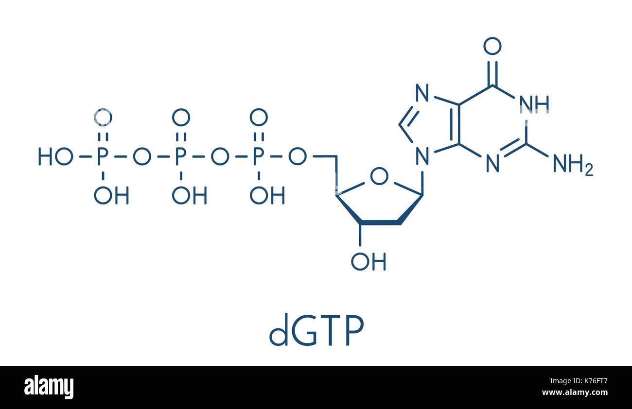 Deoxyguanosine Triphosphat (dGTP) Nucleotide Molekül. DNA-Baustein. Skelettmuskulatur Formel. Stock Vektor