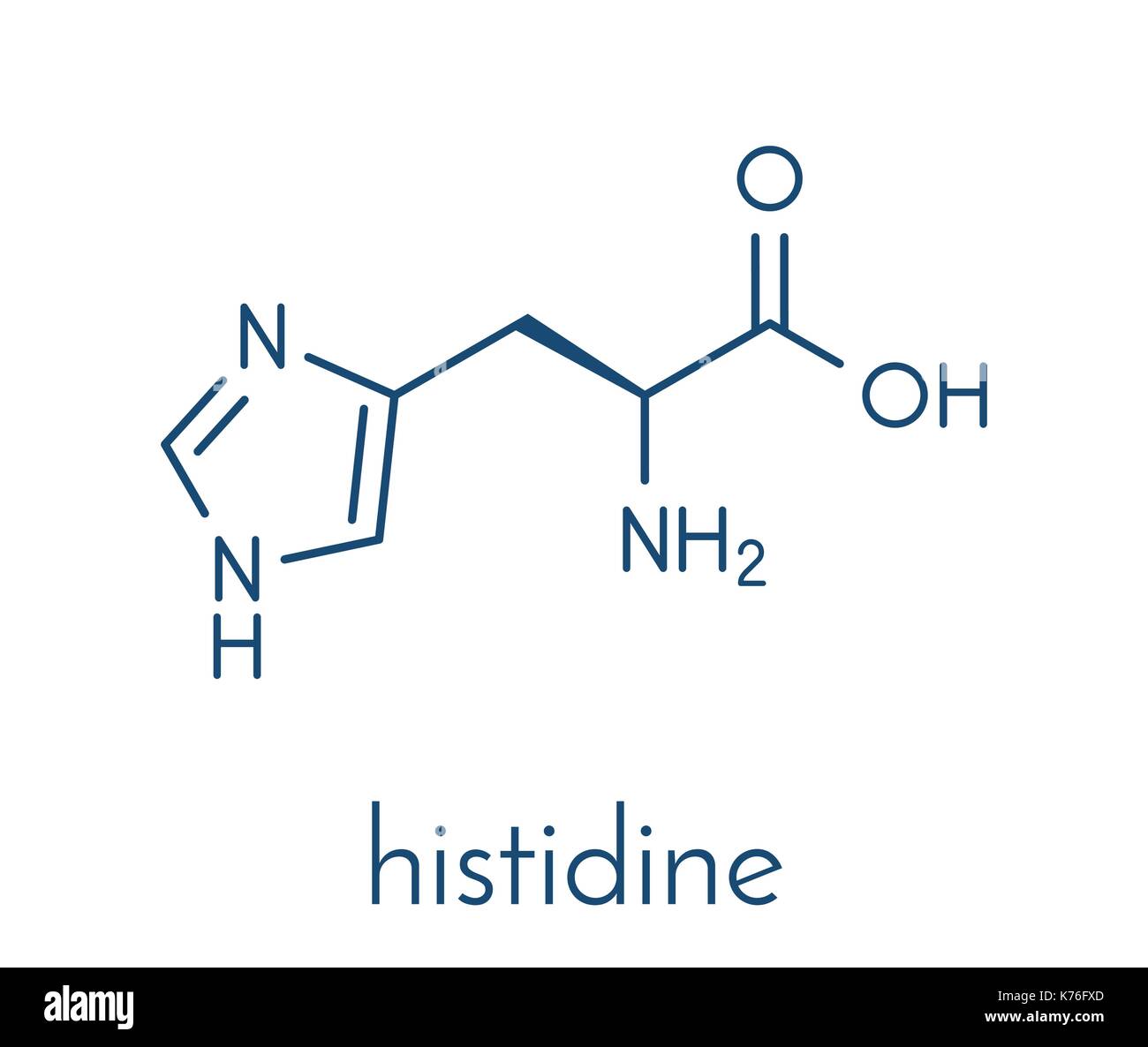 Histidin (l-Histidin, seine, H) Aminosäure Molekül. Skelettmuskulatur Formel. Stock Vektor