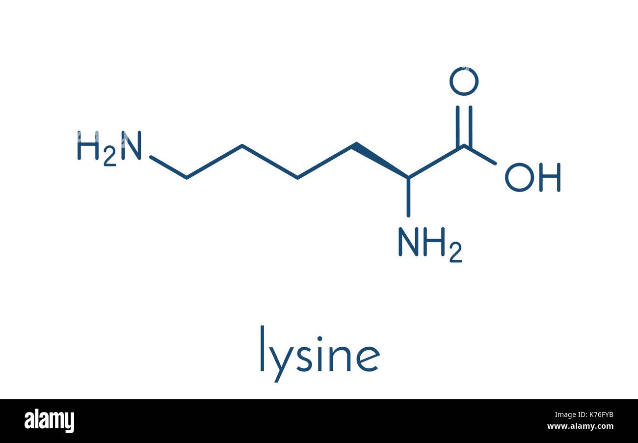 Lysin (L-Lysin, Lys, K) Aminosäure Molekül. Skelettmuskulatur Formel. Stock Vektor