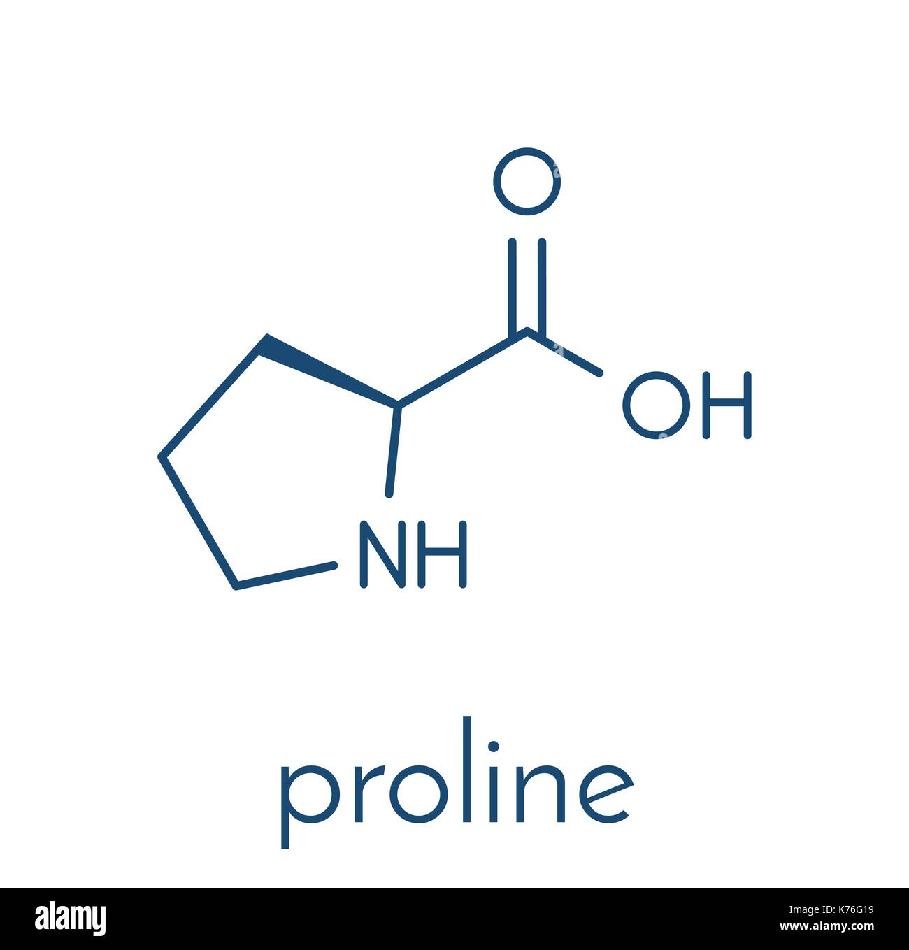 Proline (L-Prolin, Pro) Aminosäure Molekül. Skelettmuskulatur Formel. Stock Vektor