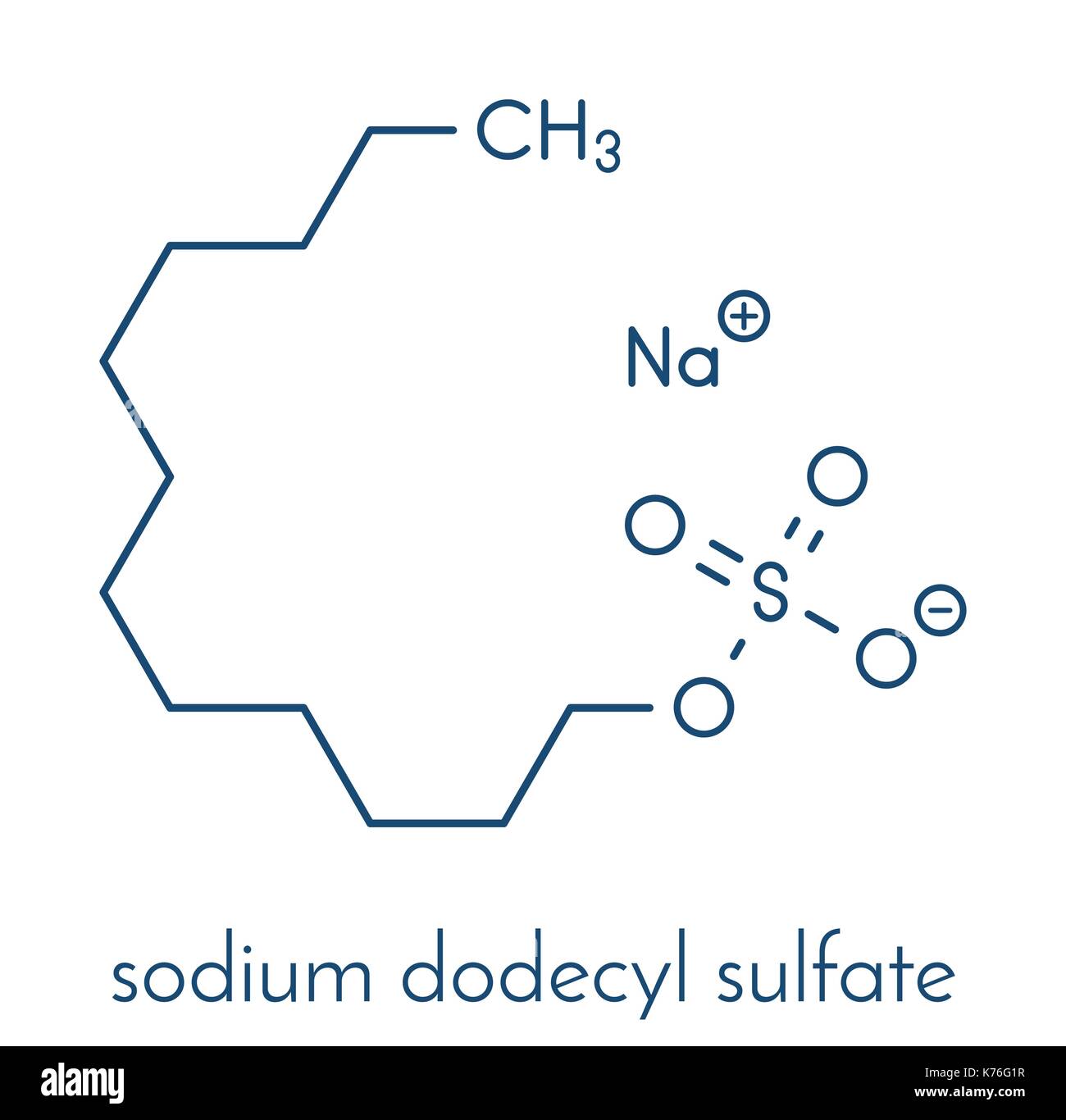 Sodium dodecyl Sulfate (SDS, Natrium Lauryl Sulfat) Tensid Molekül. Häufig in Reinigungsmitteln eingesetzt. Skelettmuskulatur Formel. Stock Vektor