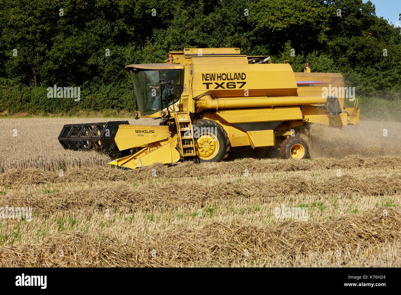 Mähdrescher Ernten von Weizen UK Stockfoto