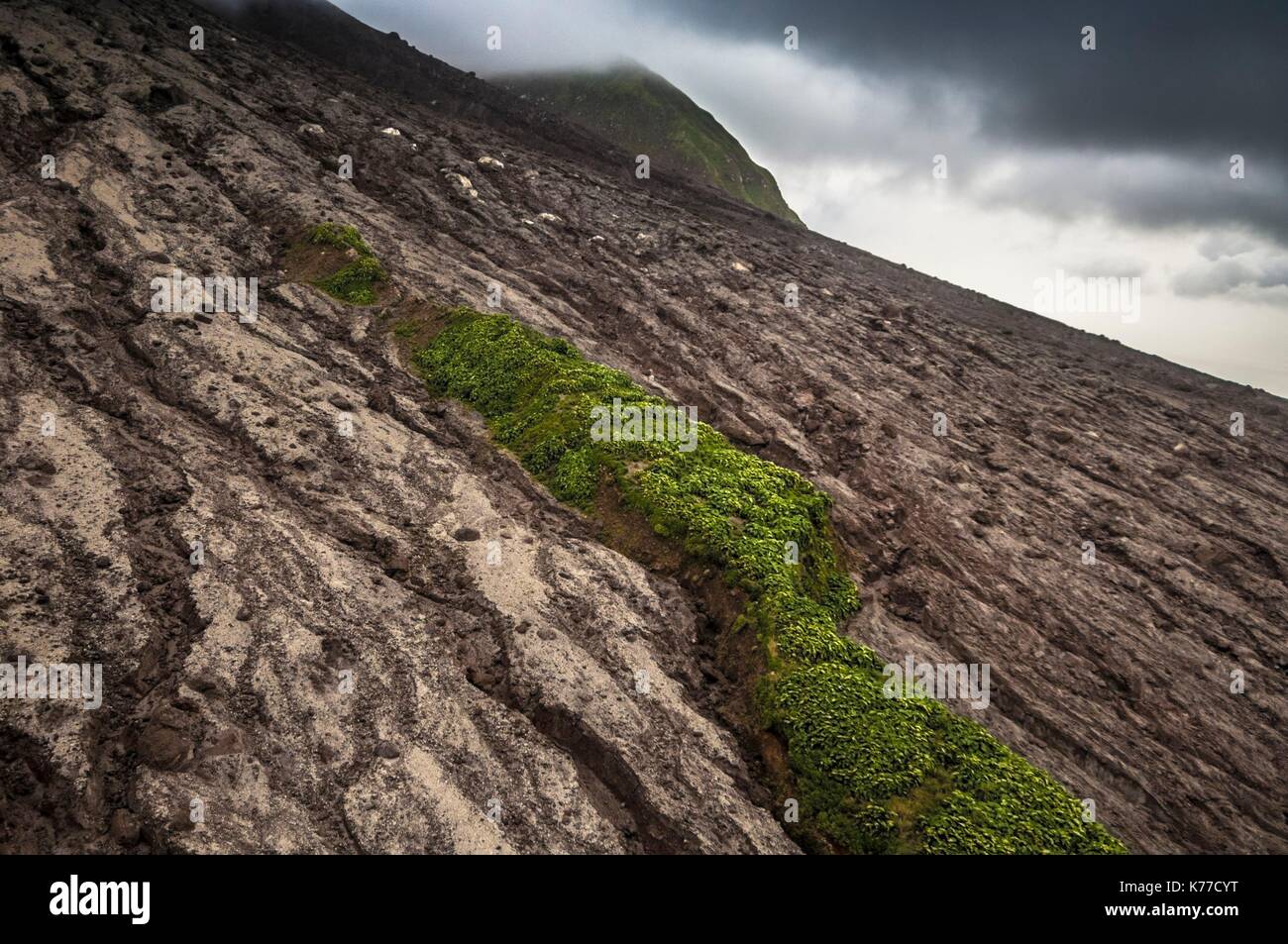 Vereinigtes Königreich, Montserrat, englischsprachigen Karibik, die Flanken des Vulkans Lager die Stigmata von Glutlawinen, die Soufriere Hills Vulkan (915 m) im Hintergrund (Luftbild) Stockfoto