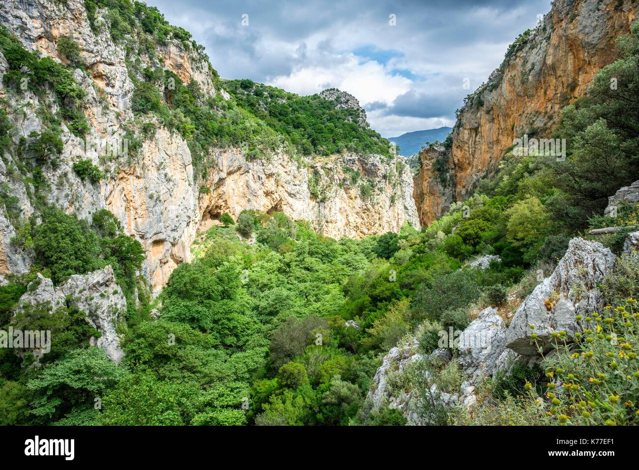 Griechenland, Kreta, Rethymnon, Amari Tal, Patsos, Agios Antonios GORGE (oder Patsos Schlucht) Stockfoto