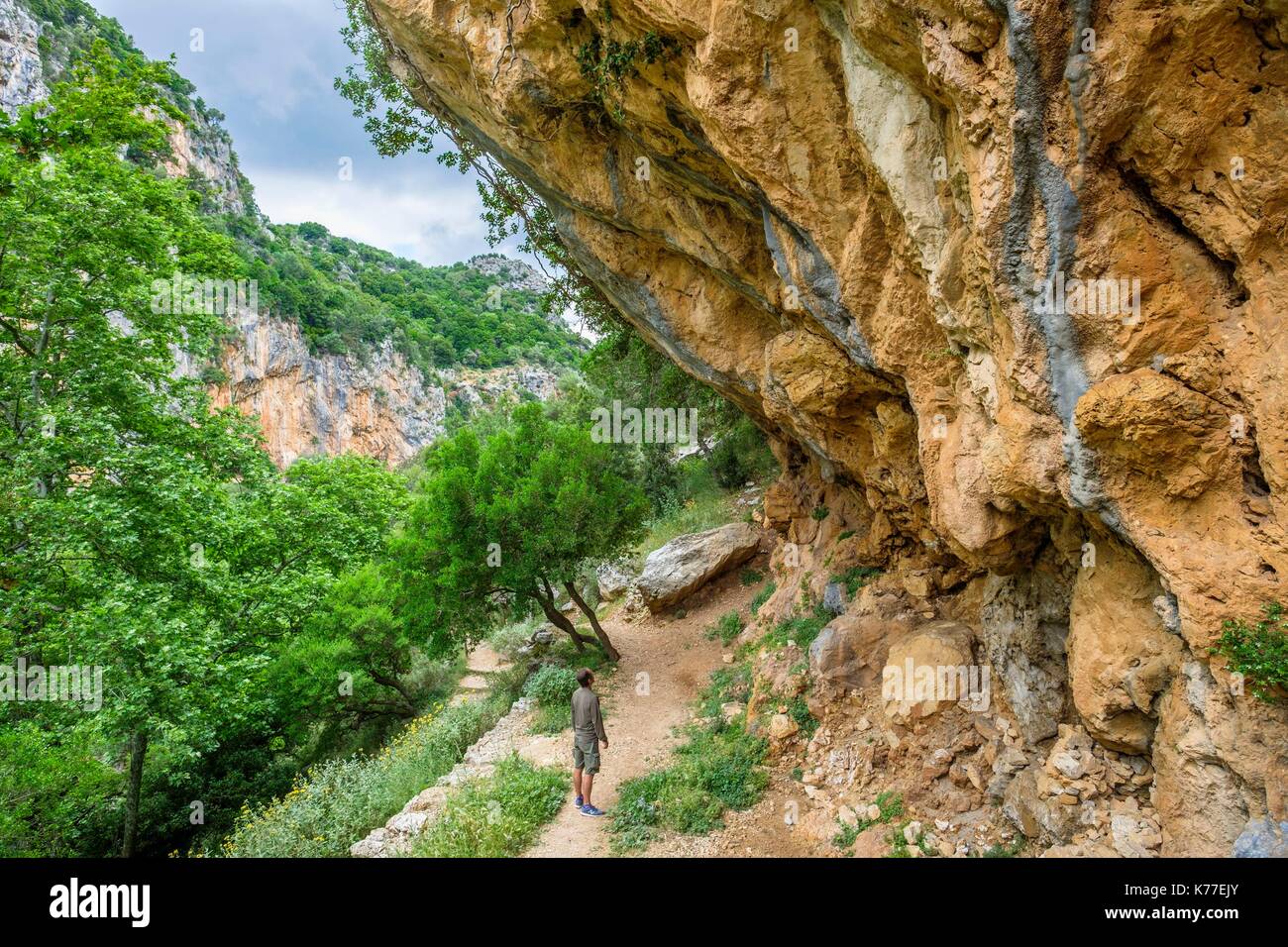 Griechenland, Kreta, Rethymnon, Amari Tal, Patsos, Wandern in Agios Antonios GORGE (oder Patsos Schlucht) Stockfoto