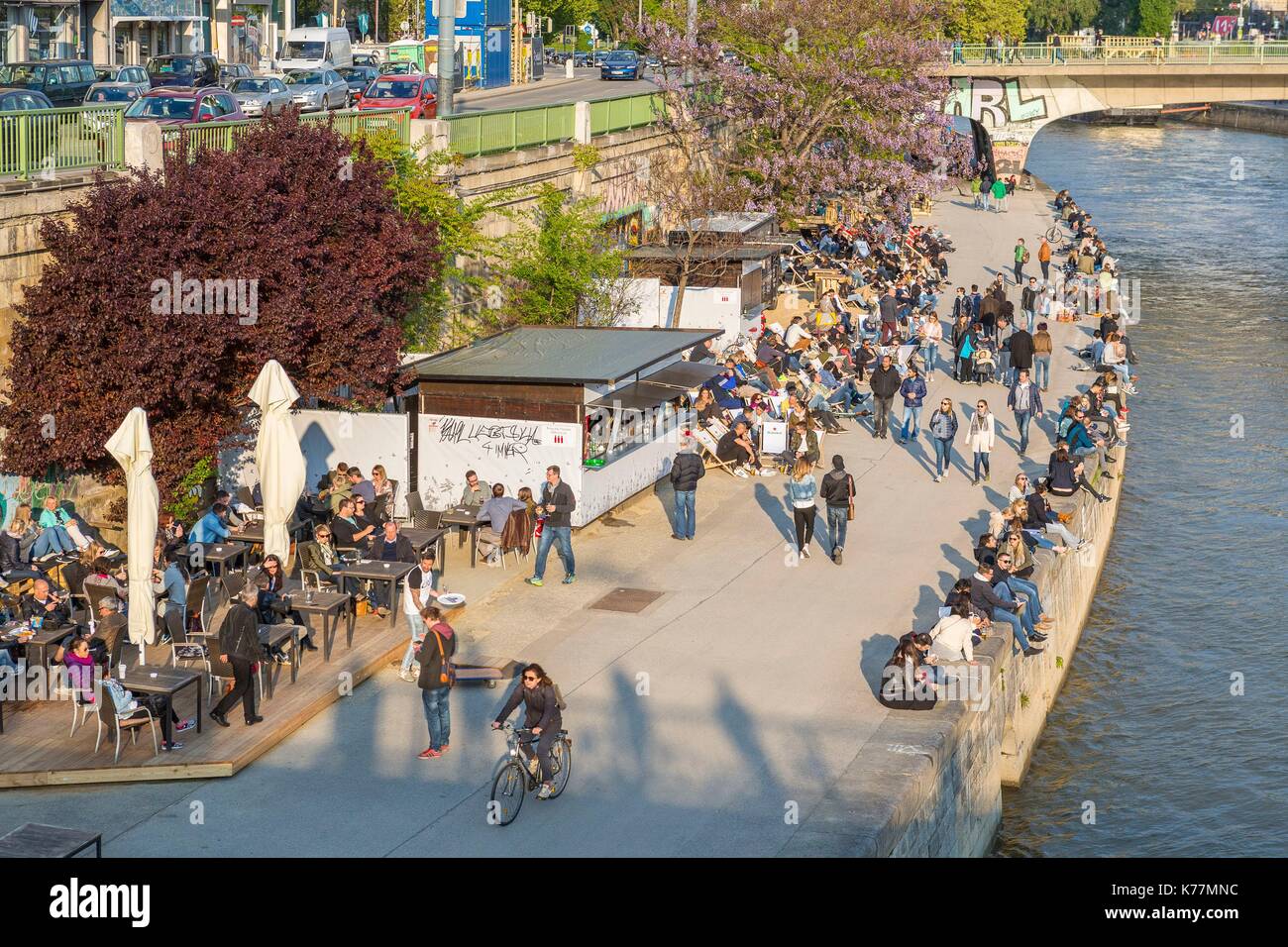 Österreich, Wien, Altstadt zum Weltkulturerbe der UNESCO, die Ufer der Donau gebaut im Sommer Stockfoto