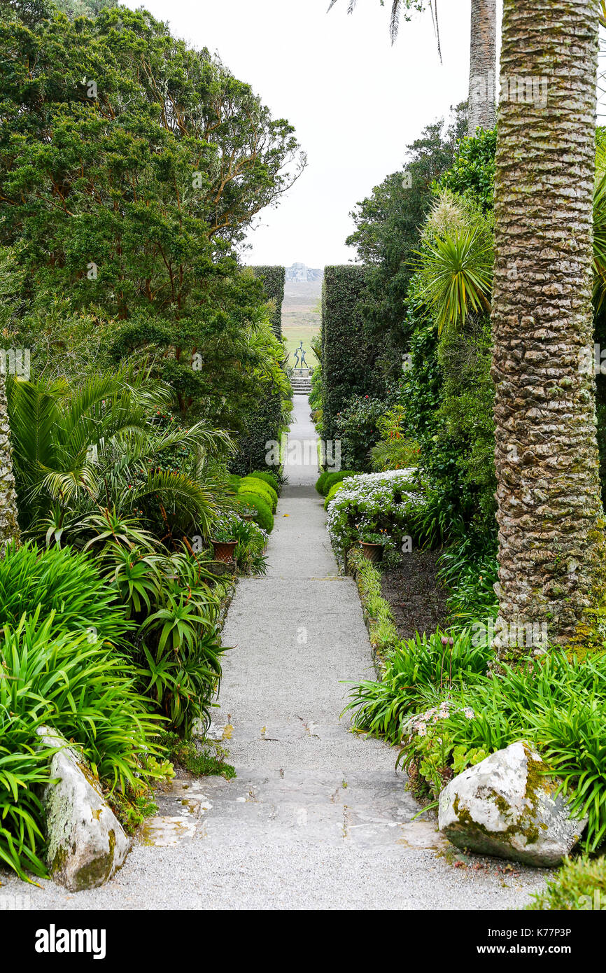 Tresco Abbey Gardens, Isles of Scilly, England, Großbritannien Stockfoto Tresco Abbey Gardens, Isles of Scilly, England, Großbritannien Stockfoto