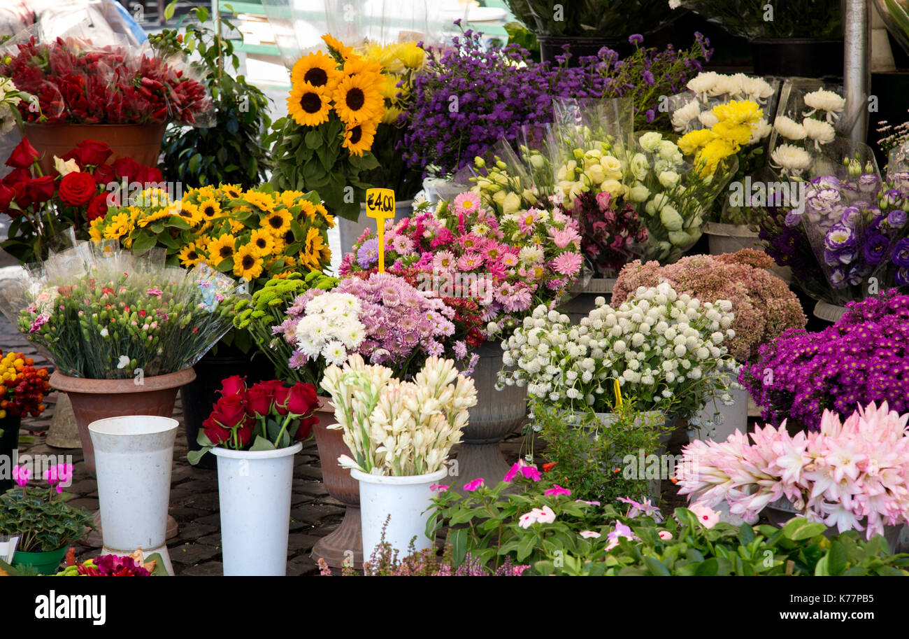 In der Nähe von Blumen in den Stall, in dem berühmten Markt, Campo de' Fiori Rom Italien Stockfoto