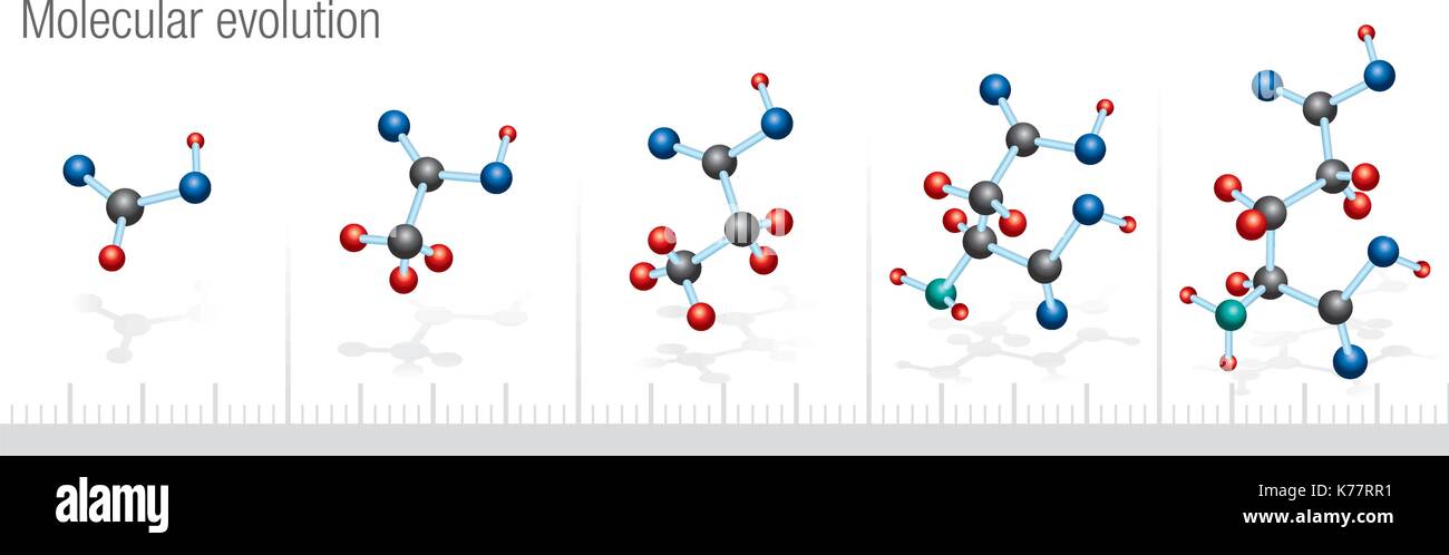 Molekulare Evolution auf weißem Hintergrund Stock Vektor