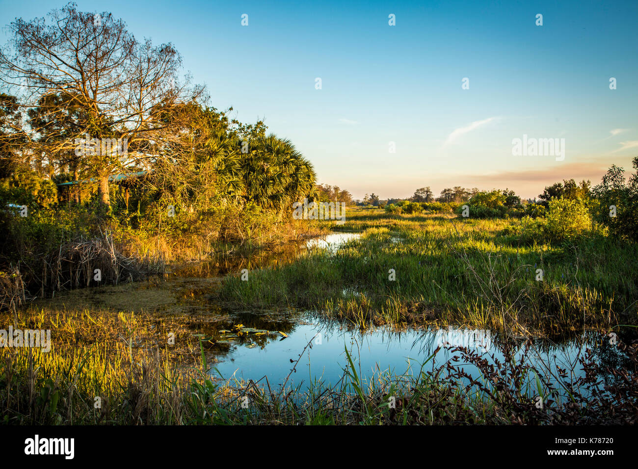 Everglades Nationalpark Sonnenuntergang See Reflexionen Stockfoto