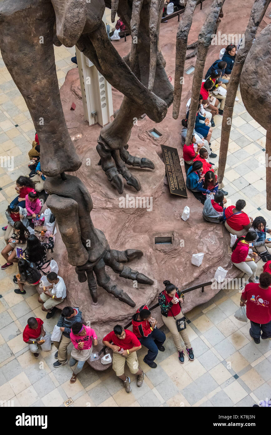 Schülerinnen und Schüler auf eine Entdeckungsreise zum Mittagessen geniessen unter dem Skelett eines riesigen Dinosaurier Argentinosaurus an Fernbank Museum in Atlanta, Georgia. Stockfoto