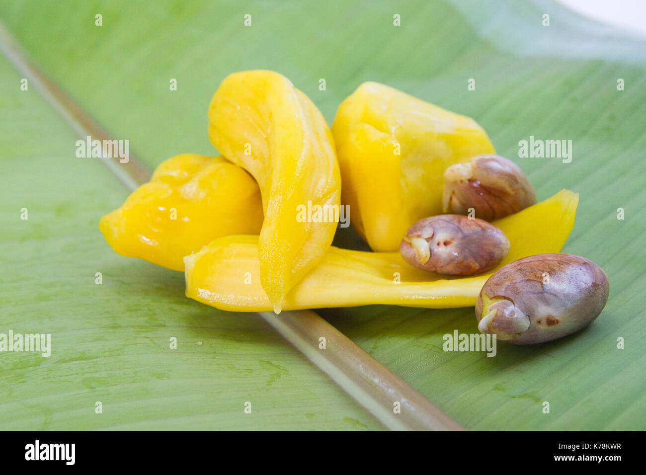 Vice jackfruit Sorten von Bananenblättern Stockfoto