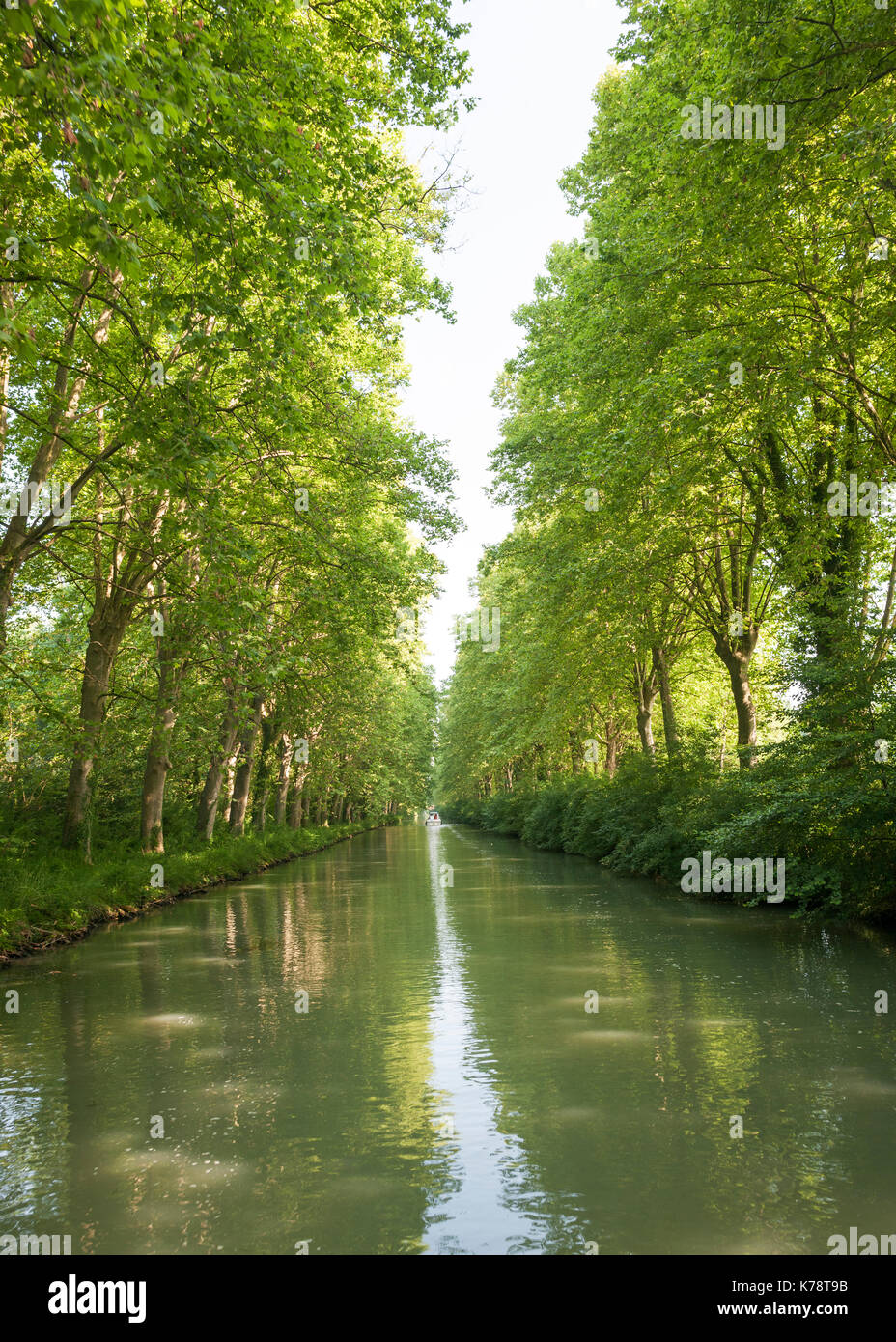 Die von Bäumen gesäumte Canal latéral à la Garonne in der Dordogne im Südwesten Frankreichs. Stockfoto