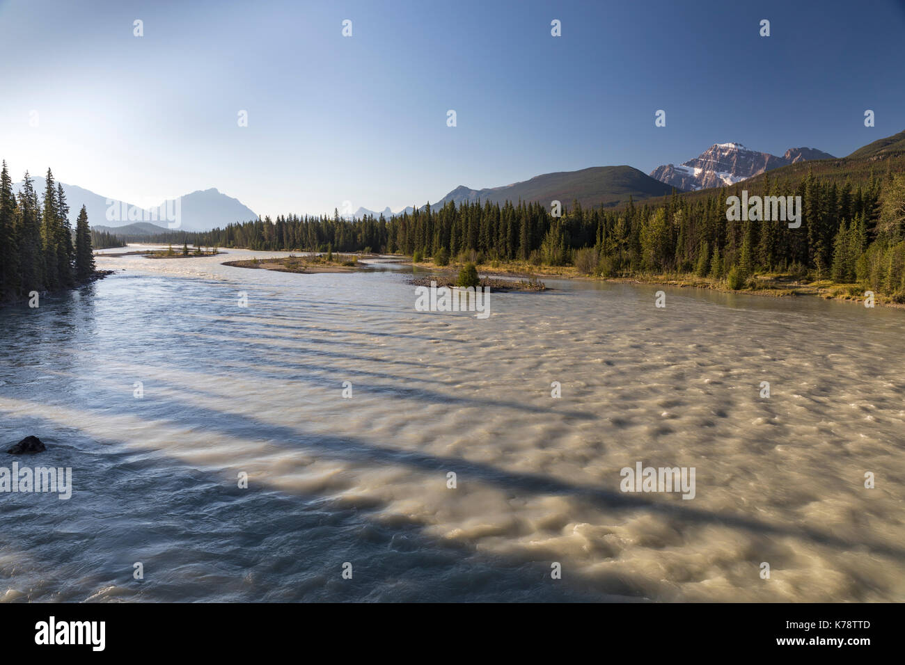 Am frühen Morgen Blick auf Mount Edith Cavell & Athabasca River, Jasper National Park, Alberta, Kanada Stockfoto