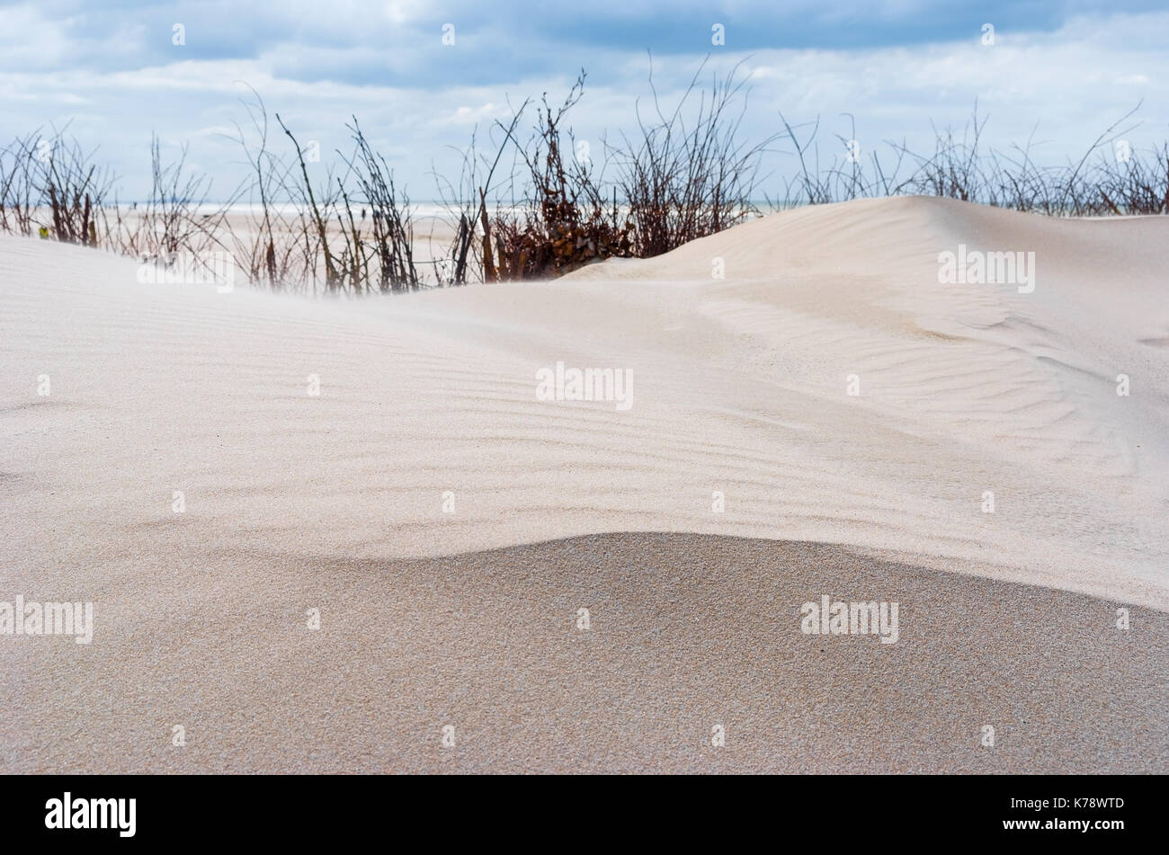 Landschaft der Sanddünen in der nationalen Reserve der Westhoek in der Stadt von De Panne an der Nordseeküste von Belgien. Stockfoto