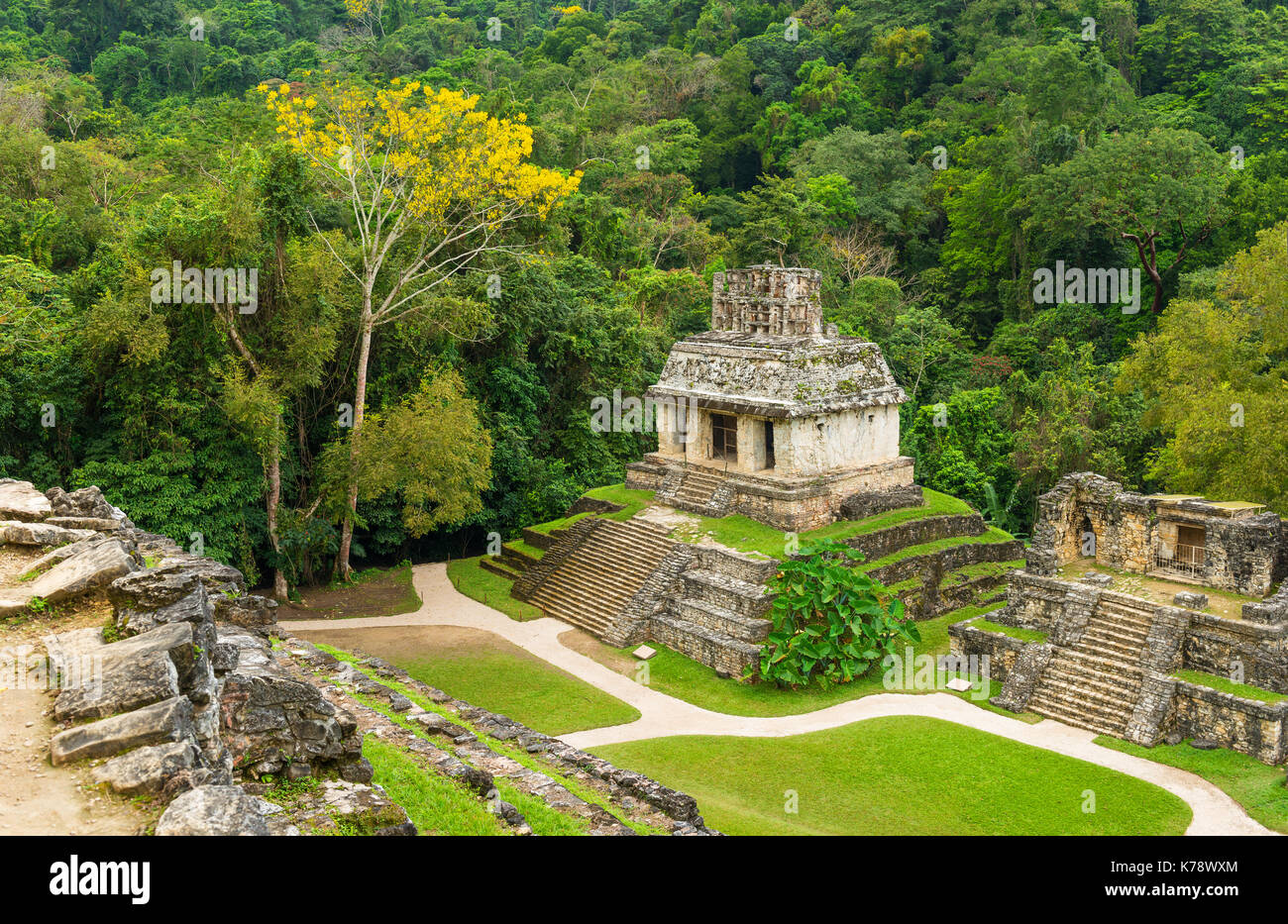 Landschaft im Inneren der Maya Stadt Palenque Stadt seinen grünen üppigen Regenwald und schöne antike Architektur in Chiapas, Mexiko. Stockfoto