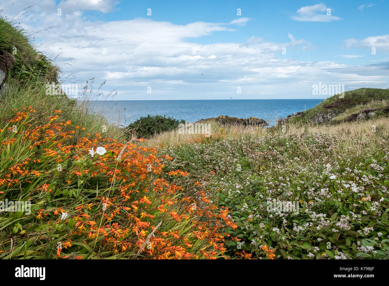 Meerblick Landschaft mit Blick auf den Bereich in der Nähe von Dunure Schottland Stockfoto