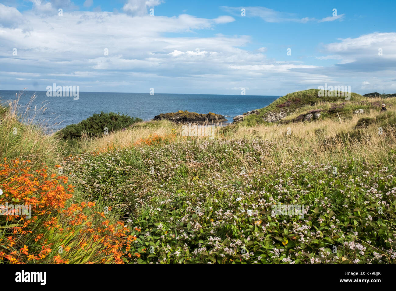 Meerblick Landschaft mit Blick auf den Bereich in der Nähe von Dunure Schottland Stockfoto