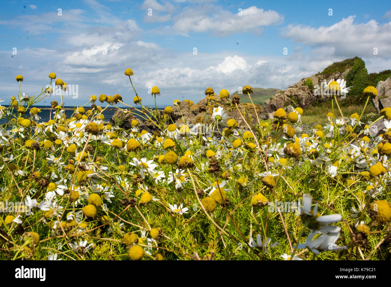 Seascape Blick über den Strand und das Meer in der Nähe von lendalfoot Girvan, Schottland Stockfoto