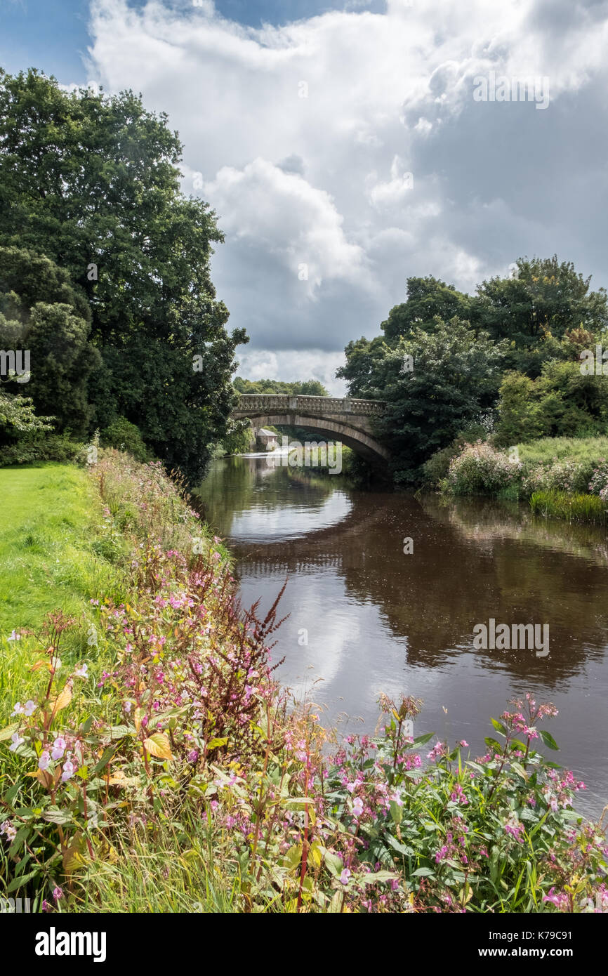 Ansicht der Brücke über den Fluss in der schottischen Landschaft in der Nähe von Glasgow Stockfoto