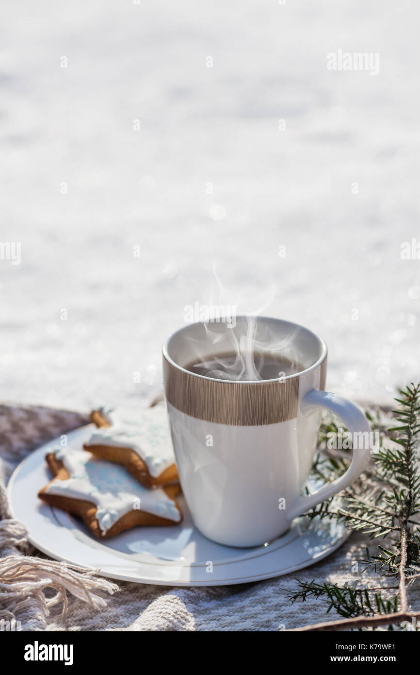 Gemütlich im Winter Entspannung: Eine Tasse heißen Kaffee, eine Decke und Lebkuchen mit Blick auf die verschneite Landschaft. Stockfoto