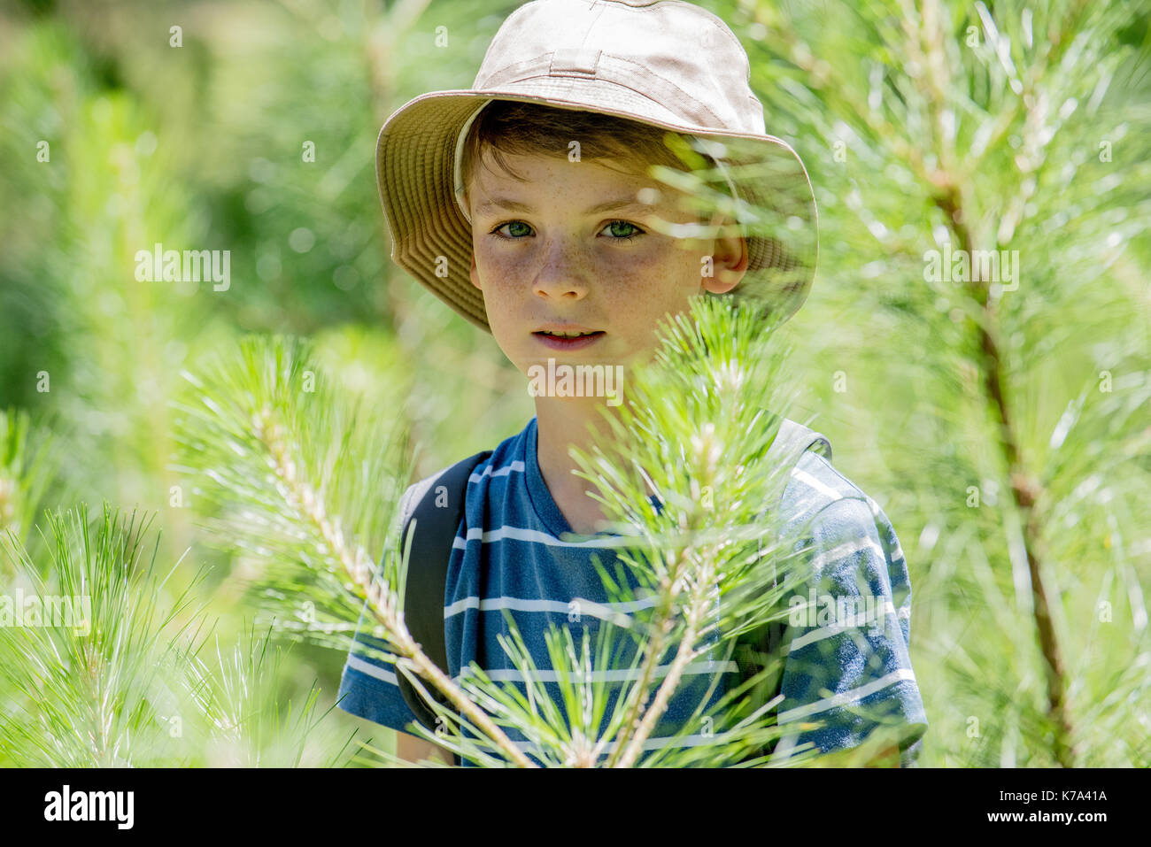 Junge in Holz, Porträt Stockfoto