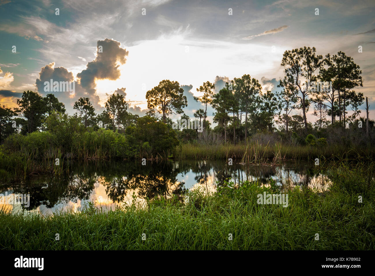 Everglades Nationalpark Sonnenuntergang See Reflexionen Stockfoto