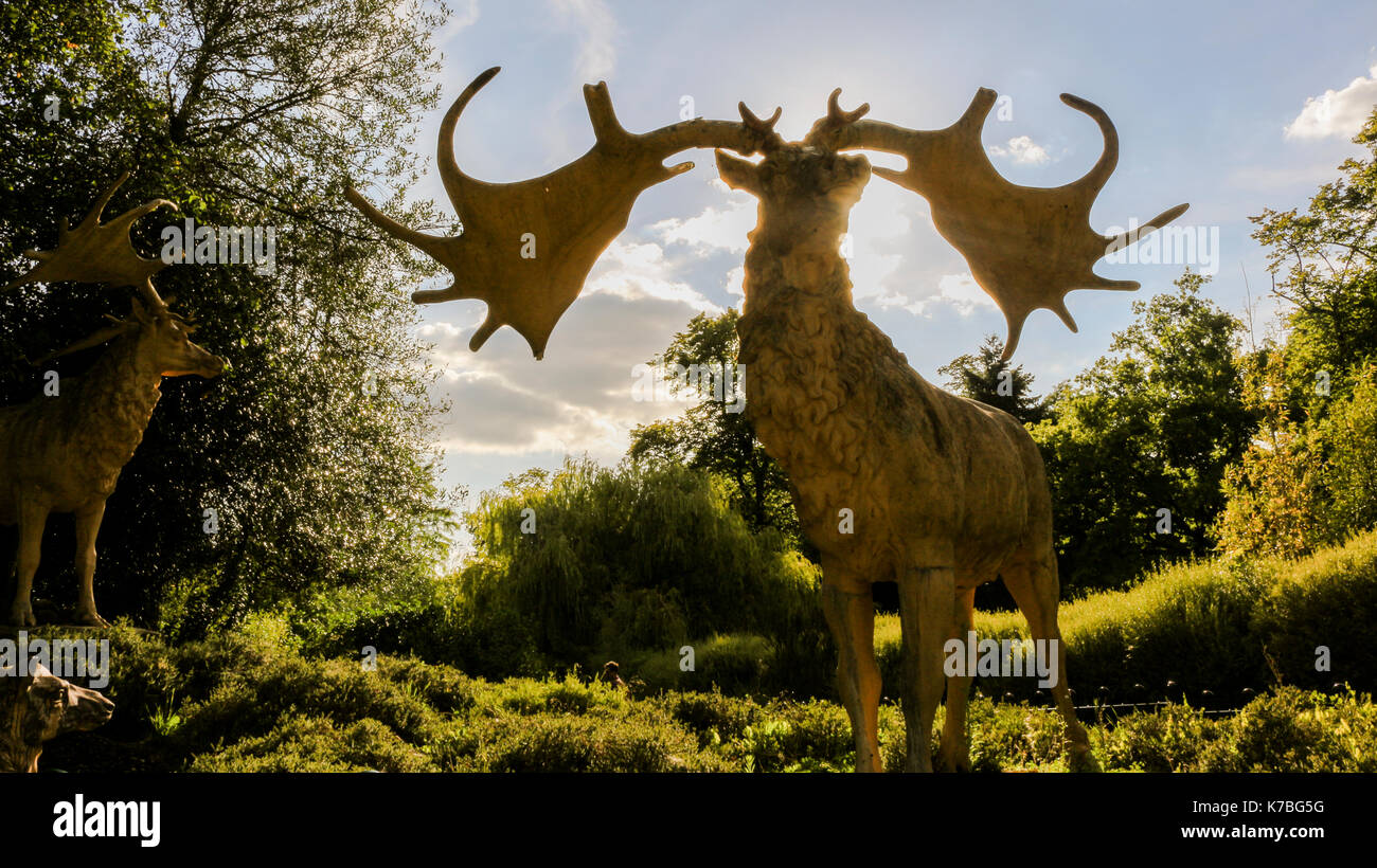 Mächtige elk deckt die Sonne und zeigt Power Stockfoto