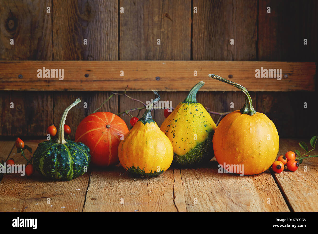 Verschiedene Arten von Kürbis auf einem Holztisch. Herbst Arrangement: dekorative Kürbisse mit Hagebutten Stockfoto