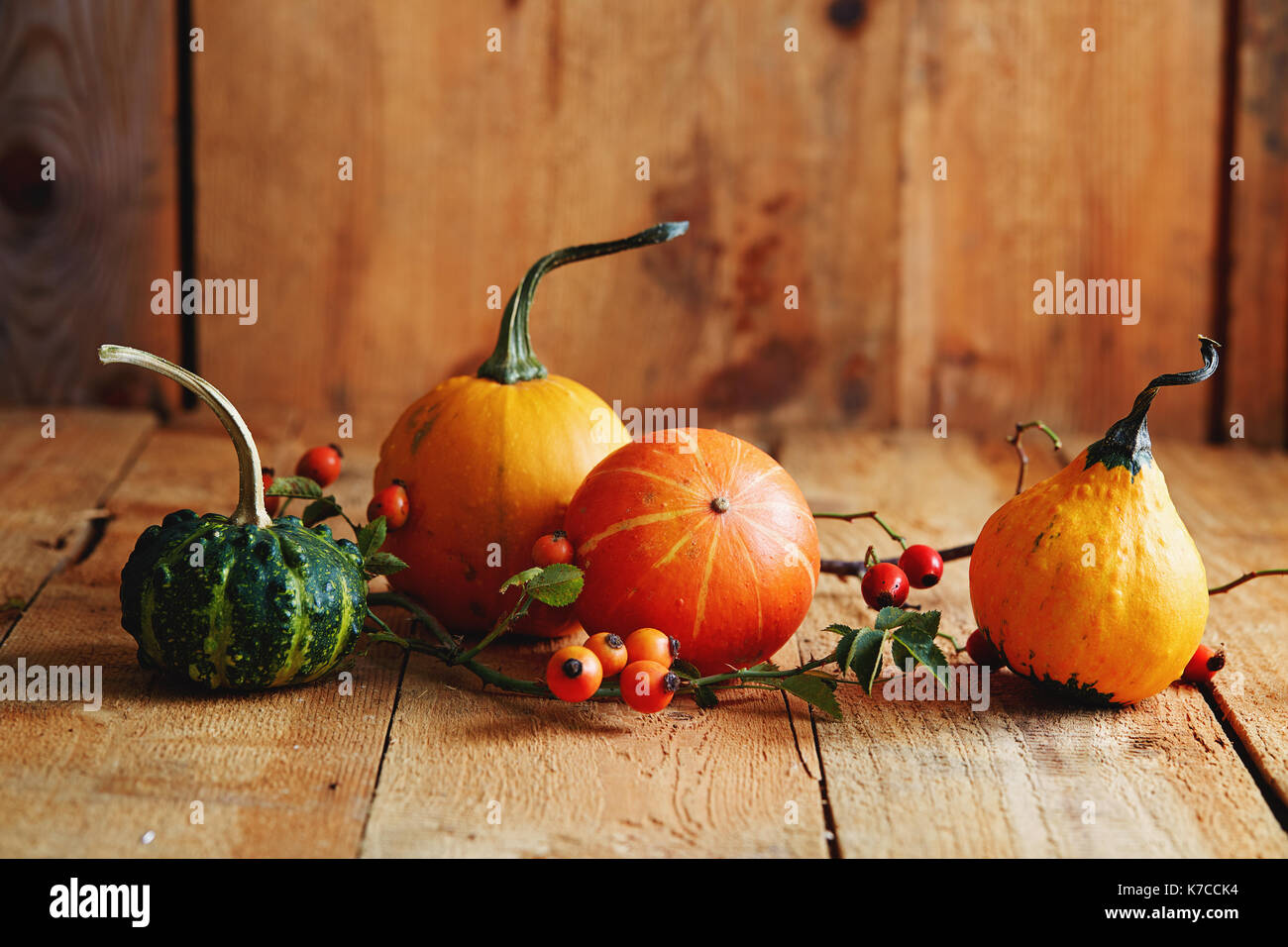 Verschiedene Arten von Kürbis auf einem Holztisch. Herbst Arrangement: dekorative Kürbisse mit Hagebutten Stockfoto