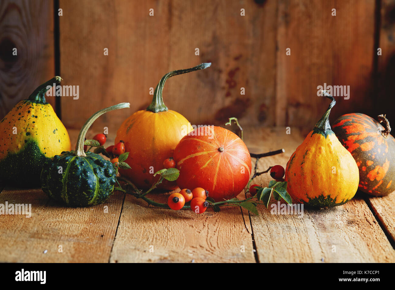 Verschiedene Arten von Kürbis auf einem Holztisch. Herbst Arrangement: dekorative Kürbisse mit Hagebutten Stockfoto