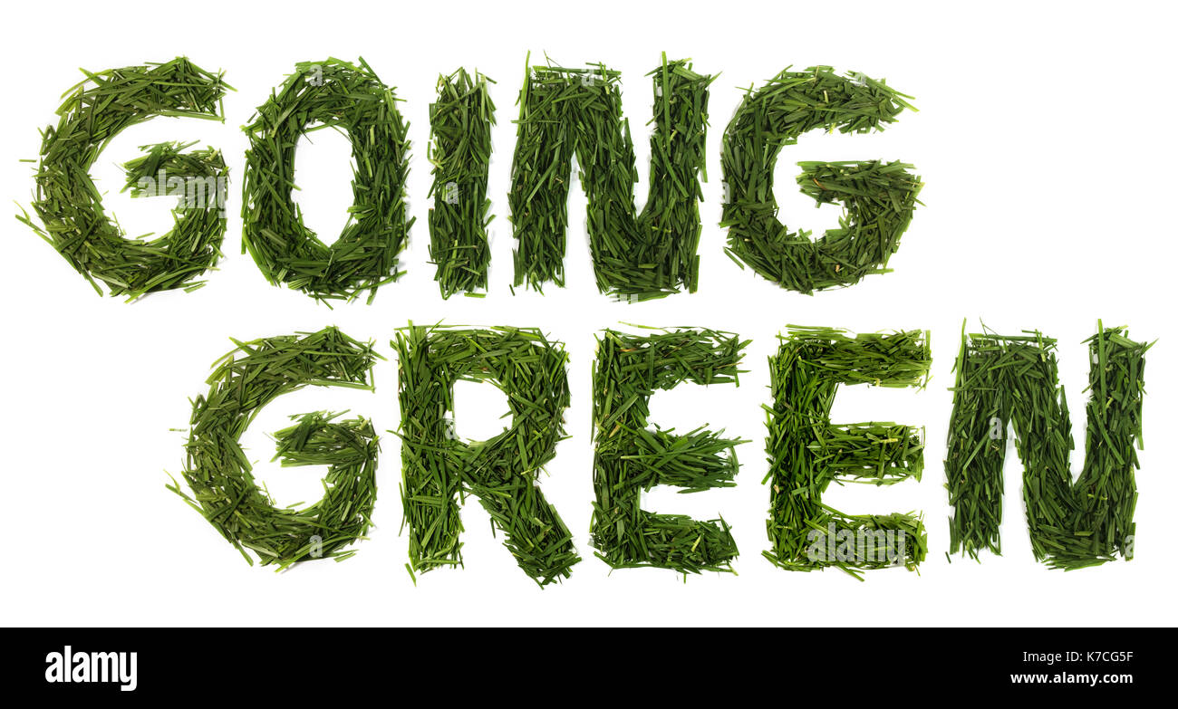 Going Green Grass-isolierte grünes Gras auf einem weißen Hintergrund. Stockfoto