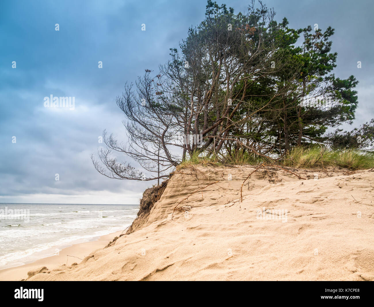 Coastal Sand dune, auf dem Weg zur bewegten dune Wydma Czolpinska im Slowinski-nationalpark zwischen Rowy und Leba, Ostsee, Polen Stockfoto