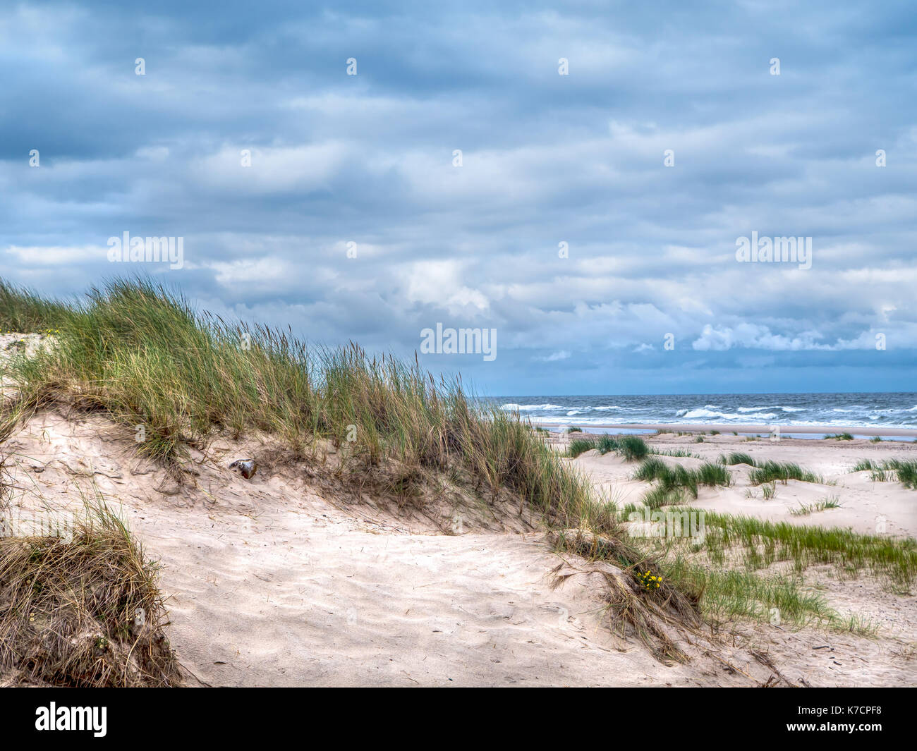 Coastal Sand dune, auf dem Weg zur bewegten dune Wydma Czolpinska im Slowinski-nationalpark zwischen Rowy und Leba, Ostsee, Polen Stockfoto