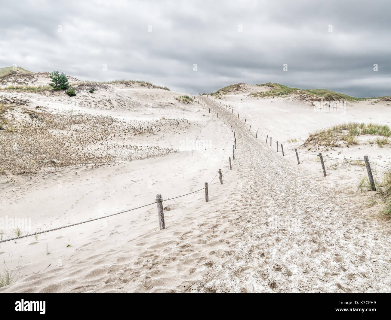 Sandigen Trail innerhalb der Bewegung dune Wydma Czolpinska im Slowinski Nationalpark, Polen Stockfoto