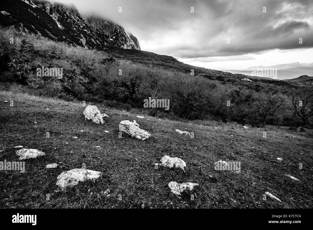 Schwarze und weiße Landschaft. Wald, in den Bergen und bewölkter Himmel. Bosco della Ficuzza, Sizilien, Italien Stockfoto