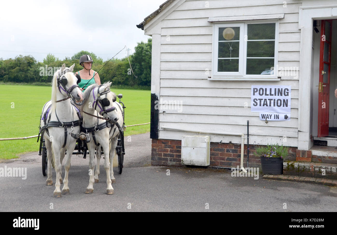 Foto muss Gutgeschrieben © Alpha Presse 066465 23/06/2016 Welsh Ponys Blasen und Samson von chelsfield Reitzentrum führen zwei lokale Wähler mit Kutsche, ihre Stimme in der EU Referendum im Wahllokal zu werfen im Chelsfield Village Hall im Chelsfield, Kent. Stockfoto